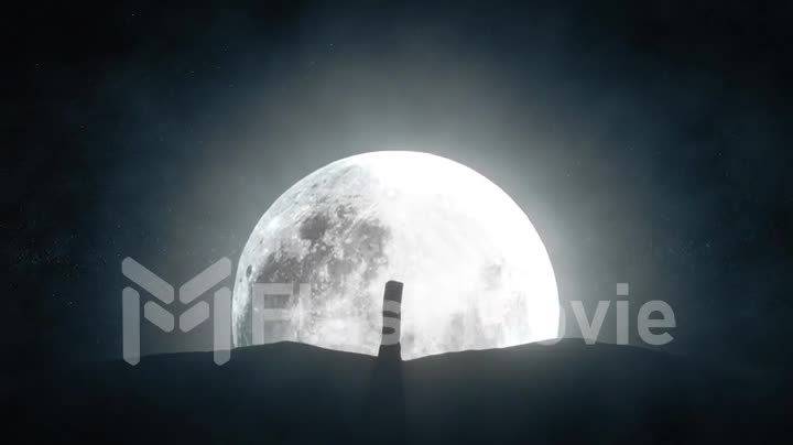 Time lapse of a growing tree against the background of a full moon