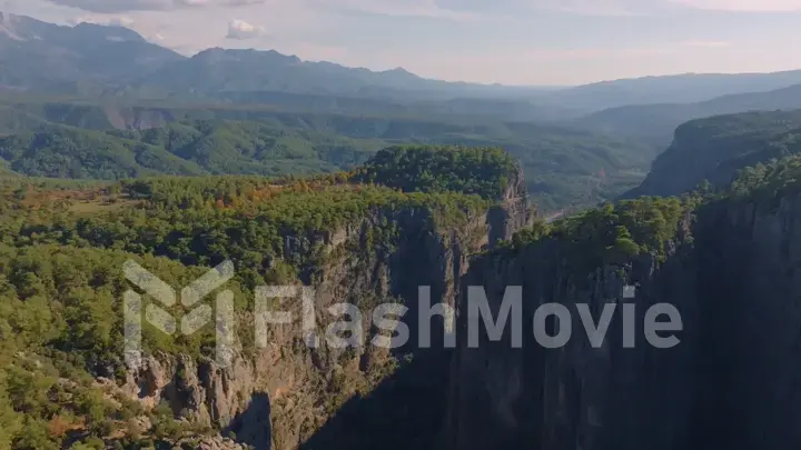 Mountain landscape. Aerial drone view of big green canyon in sunny weather. Green trees and gray rocks.