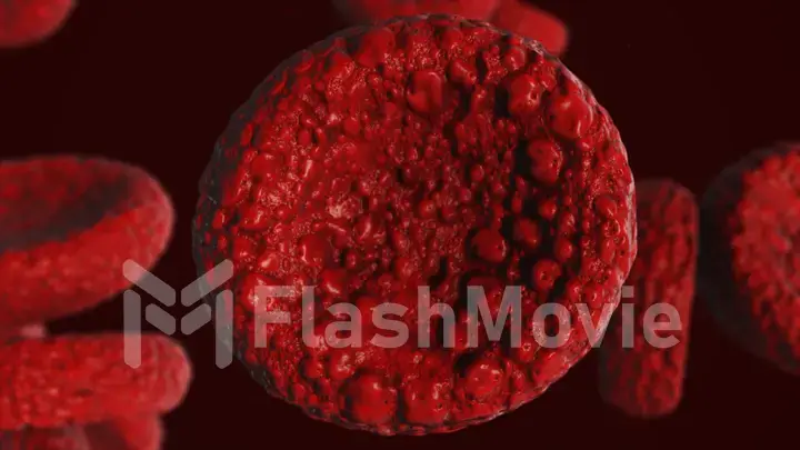 Realistic rendering of bacteria - in red colors