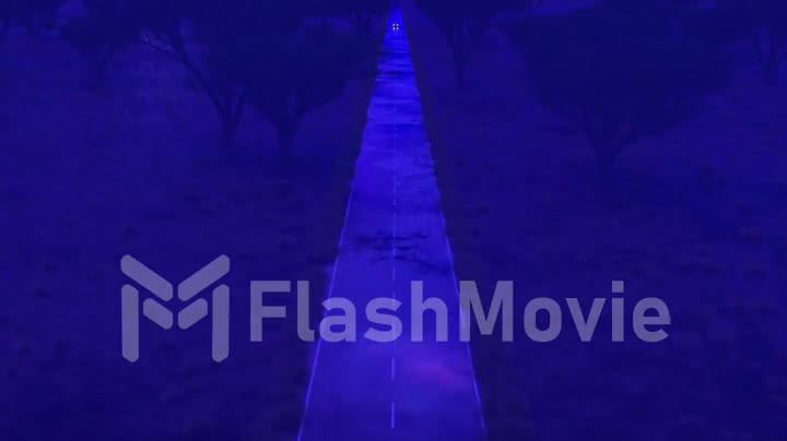 The car rushes at fast speed along the asphalt road along the desert into a fabulous sunset with a magical blue tint. 3d animation
