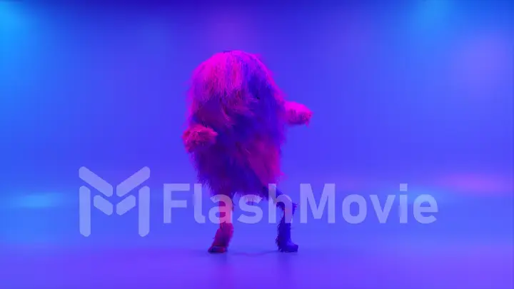 Cheerful colorful hairy cartoon dancing character, furry animal, having fun, furry mascot animation. Modern minimalist design. Flashing neon club light. 3d illustration
