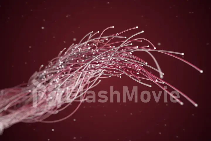 Spreading multi colored fiber wires in space. Camera movement for wires. The concept of distribution and transmission of information in the digital world 3d illustration