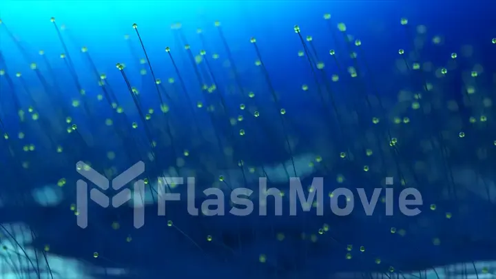 3D rendering colorful particle line like a flower grow. Glowing lines and light particles on dark blue background.