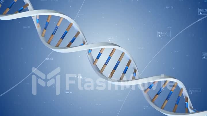 The structure of the human DNA rotates