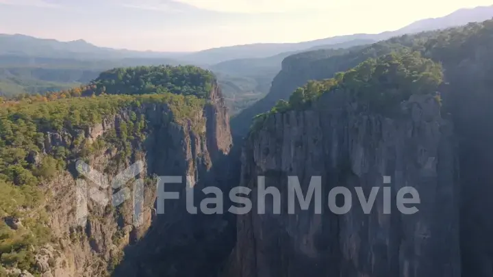 Aerial drone view. Trees grow on high gray rocks. Mountain landscape. Extreme. Sunny day. Blue sky.