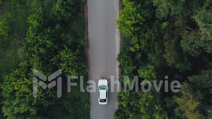 Aerial top down 4k view of white car driving on country road in forest in the evening at twilight. Cinematic drone shot flying over gravel road in pine tree forest
