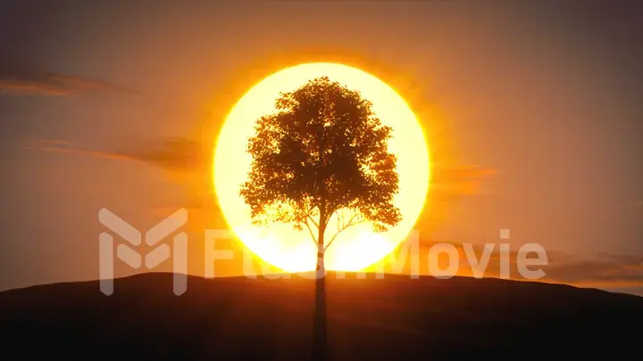 Quickly growing tree on the background of the sunrise. The concept of a new generation and freedom 3d illustration