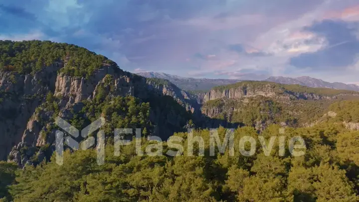 Aerial drone view of big canyon in sunny weather. Green trees and gray rocks. Mountain landscape. Blu sky