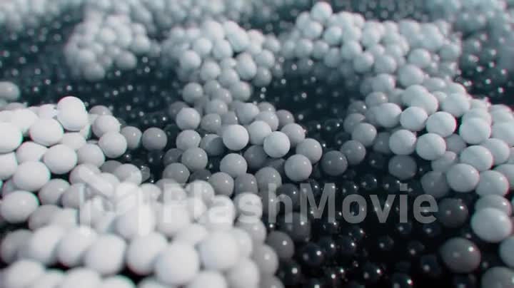 Dynamic black and white balls on a moving wave surface. Seamless loop 3d render