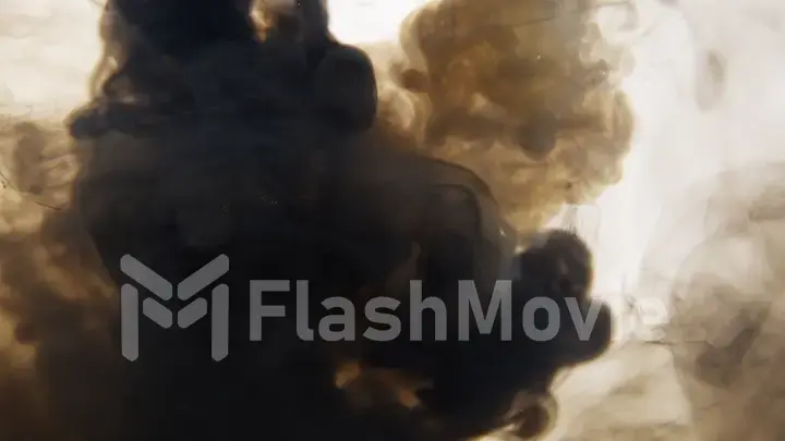 Black and white ink mix in water on a white isolated background in slow motion. Inky cloud swirling flowing underwater. Abstract smoke explosion