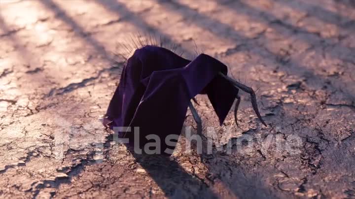 A black spider in clothes walks on dry ground. Black violet mantle. Frightening. Insect. 3d animation of seamless loop
