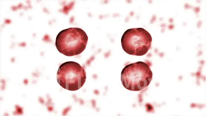 Reproduction of blood cells in the living body Illustration