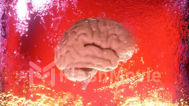 A frozen human brain inside a spinning ice cube. 3d illustration