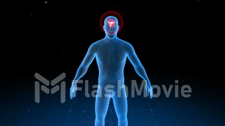 Digital human body with visible pain in different places, 3d illustration