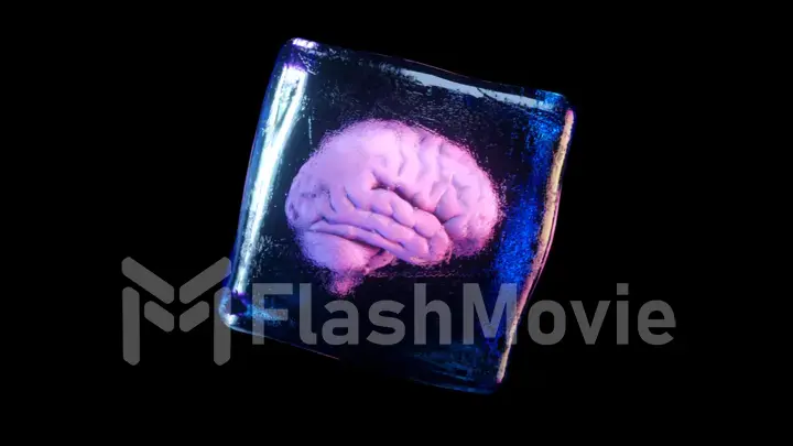 A frozen human brain inside a spinning ice cube. 3d illustration