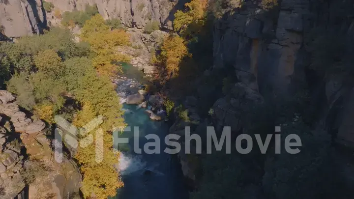 Top view of the mountain river. Rocky shores. Aerial drone view. Green trees and shrubs on the rocks