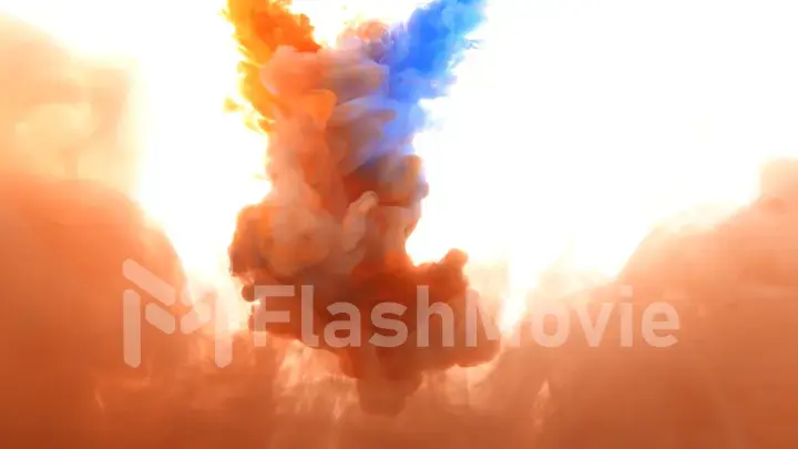 Colorful blue-orange paints mixed in water on a white isolated background. Inky cloud swirling flowing underwater. Abstract smoke explosion