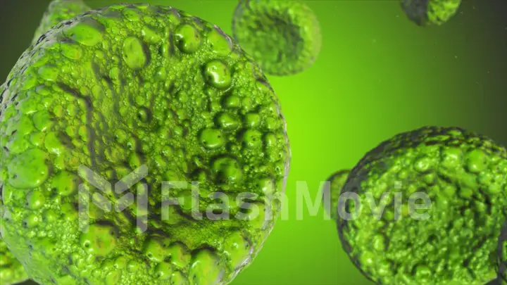 Realistic rendering of bacteria - in green colors