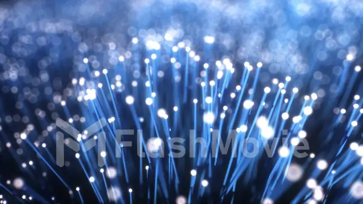 Millions of fiber optic cables with light movement, camera moves along wires transmitting data signal. 3d illustration