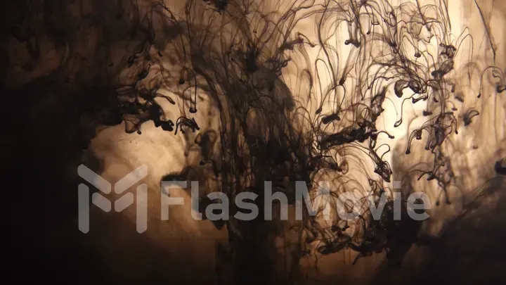 Black ink clots fall and dissolve in water in slow motion. Abstract background from dense paints