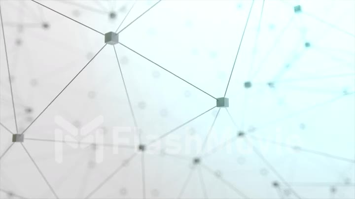 Network animation connected cube on white background. Seamless loop 4K