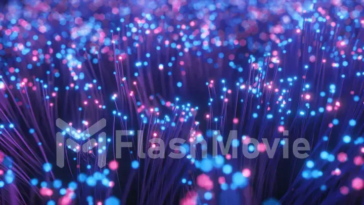 Fiber optic wires with flashing signals. Digital data transmission via fiber optic cable. Bouquet of colored optical fibers with bokeh. Technology concept. 3d illustration