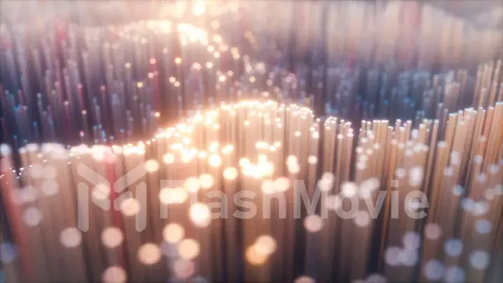 Abstract city of 3d optical fiber. Camera movement on abstract realistic glowing 3D illustration