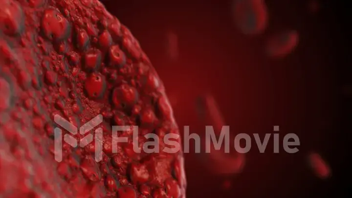 Realistic rendering of bacteria - in red colors