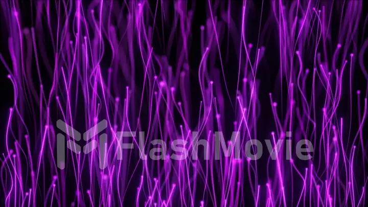 3d illustration of abstract radial lines geometric background. Data flow. Optical fiber. Explosion star. Motion effect. Background