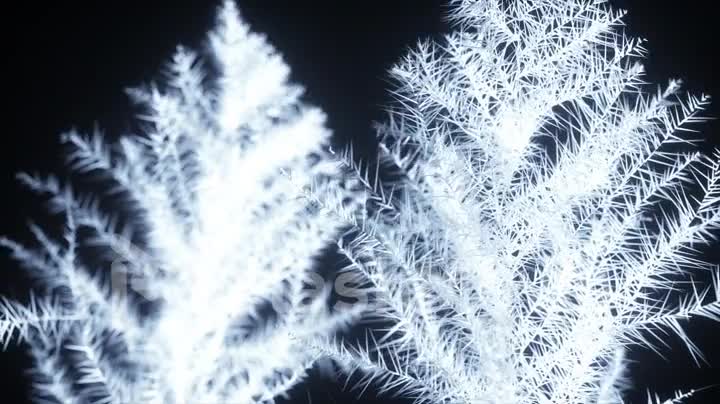 Beautiful 3d render of freezing. Patterns of ice and frost spread in space on an isolated black background.
