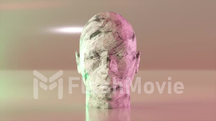 The concept of self-improvement. A piece of marble transforms into a human face. Metamorphosis. 3d animation