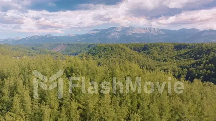 Aerial drone view of green trees on a hill against a blue sky. Riverbed. Green Forest. Wildlife. Mountain landscape