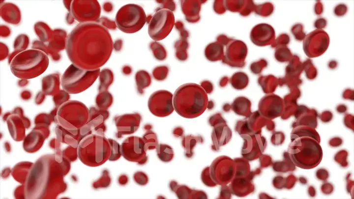 View under the microscope, blood-red blood cells isolated on white background, 3d illustration.
