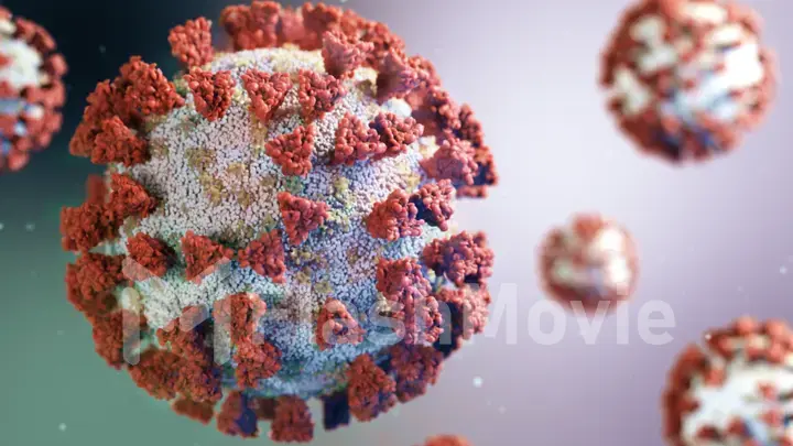 3d illustration of the surface of COVID-19 for researchers. Severe acute respiratory syndrome coronavirus SARS-CoV-2 formerly known as 2019-nCoV.
