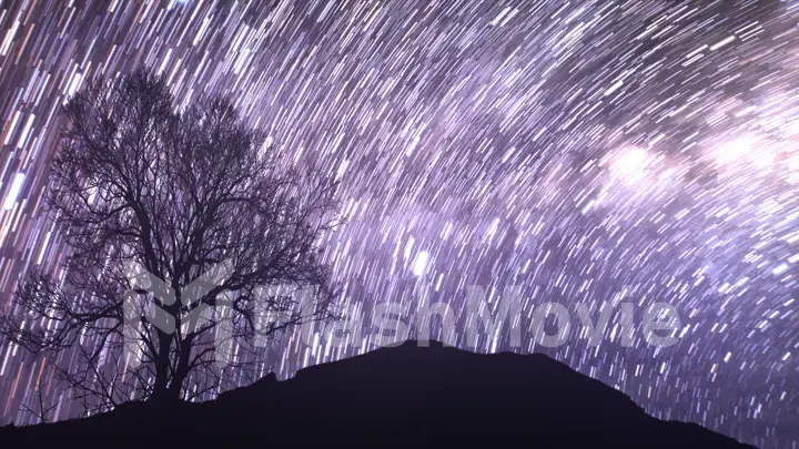 A time lapse of a starry night with a shadow of a tree in foreground and with a star trail effect. 3d illustration Elements of this image furnished by NASA