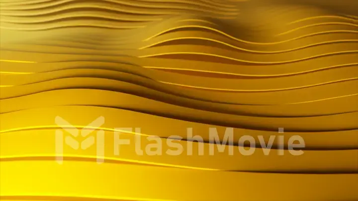 Background of rows of multicolored pop-up yellow stripes. Colorful wave gradient animation. Future geometric patterns motion background. 3d illustration