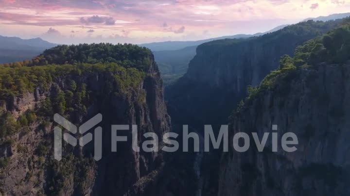 Flight over high rocks in mountainous area. Sunset sky. The tops of the trees. Aerial drone video footage