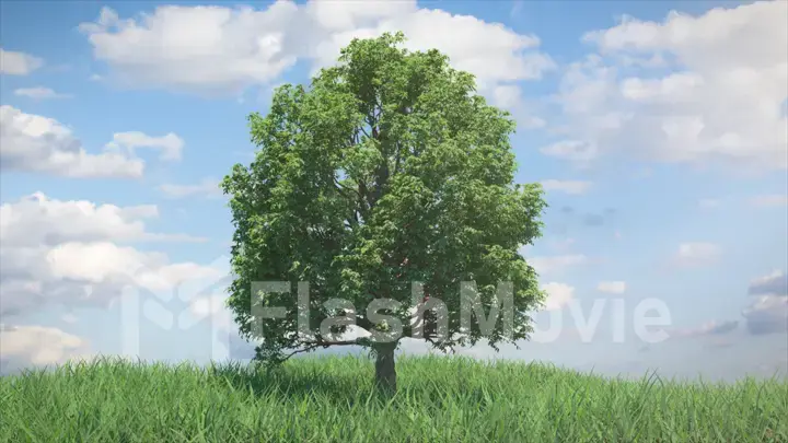 3d illustration growing tree on a hill with grass against a blue sky with clouds