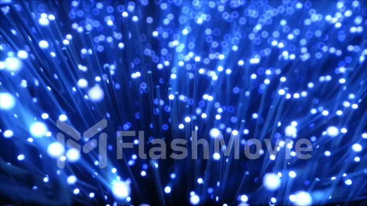Distribution of the light signal. Growing bunch of optical fibers. Used for high speed internet connection. 3d illustration