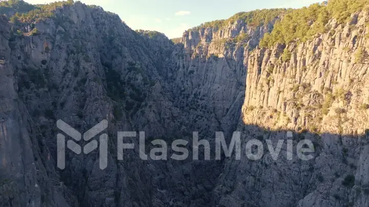 Big green canyon in sunny weather. Green trees and gray rocks. Mountain landscape. Aerial drone view