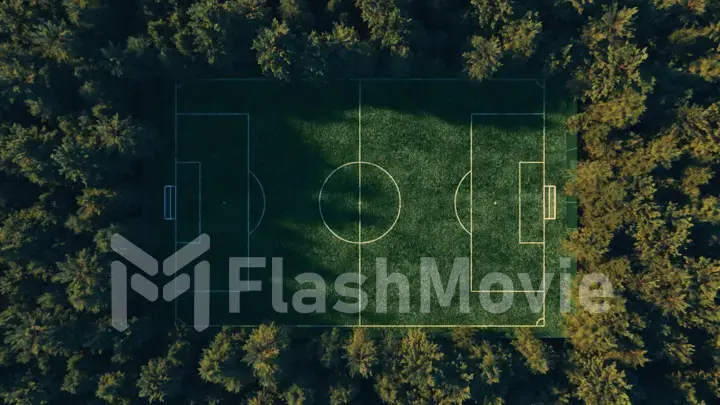 Football field in the middle of the forest top view. Simulated aerial photography. Realistic 3d illustration