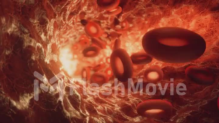 Red blood cells travelling through a blood vessel