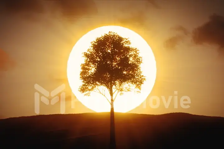 Quickly growing tree on the background of the sunrise. The concept of a new generation and freedom 3d illustration