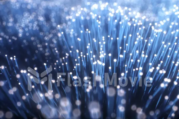 Millions of fiber optic cables with light movement, camera moves along wires transmitting data signal. 3d illustration