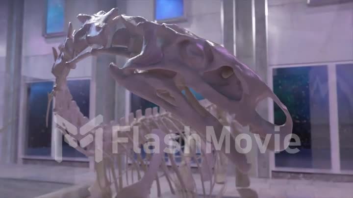 The concept of ancient history. Dinosaur skeleton close up. Paleontological Museum. Dinosaur head. 3d animation.