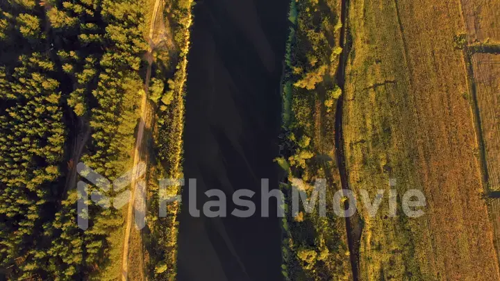 4K aerial of flying over a beautiful green forest in a rural landscape