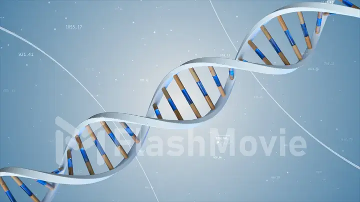 The structure of the human DNA rotates against the background of compounds and numbers. Conceptual science technology 3d illustration