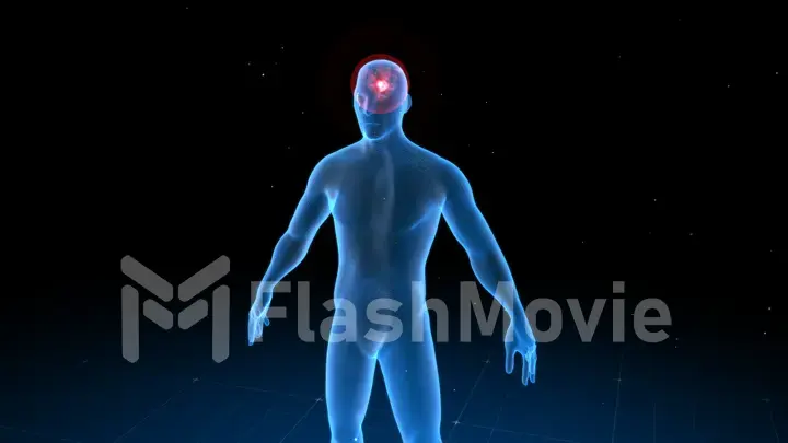 Digital human body with visible pain in different places, 3d illustration