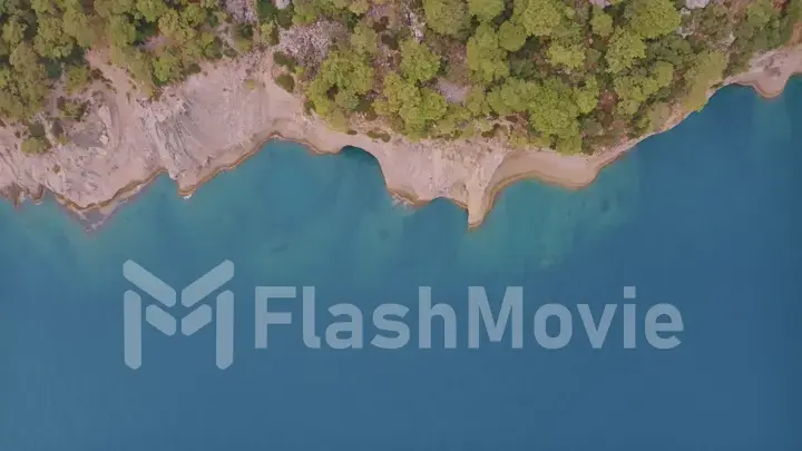 Beautiful seascape. Top view of a rocky shore covered with green trees. Blue water. Aerial drone view.