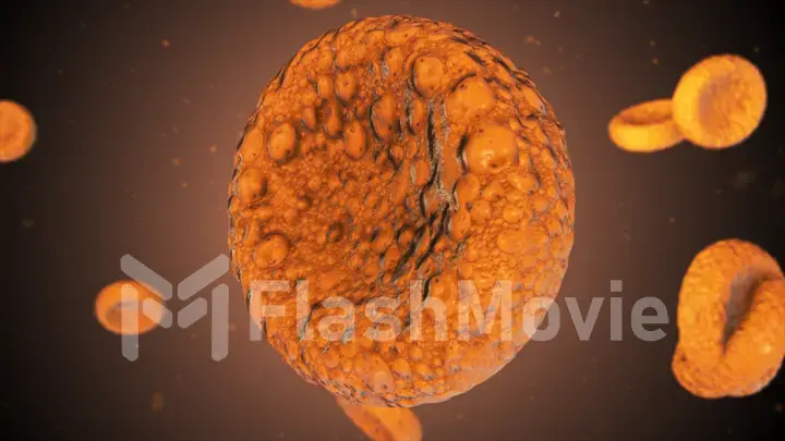 Realistic rendering of bacteria